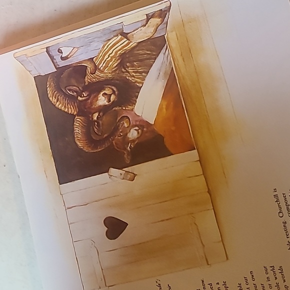 The book of the Sandman - Picture 6 of 8